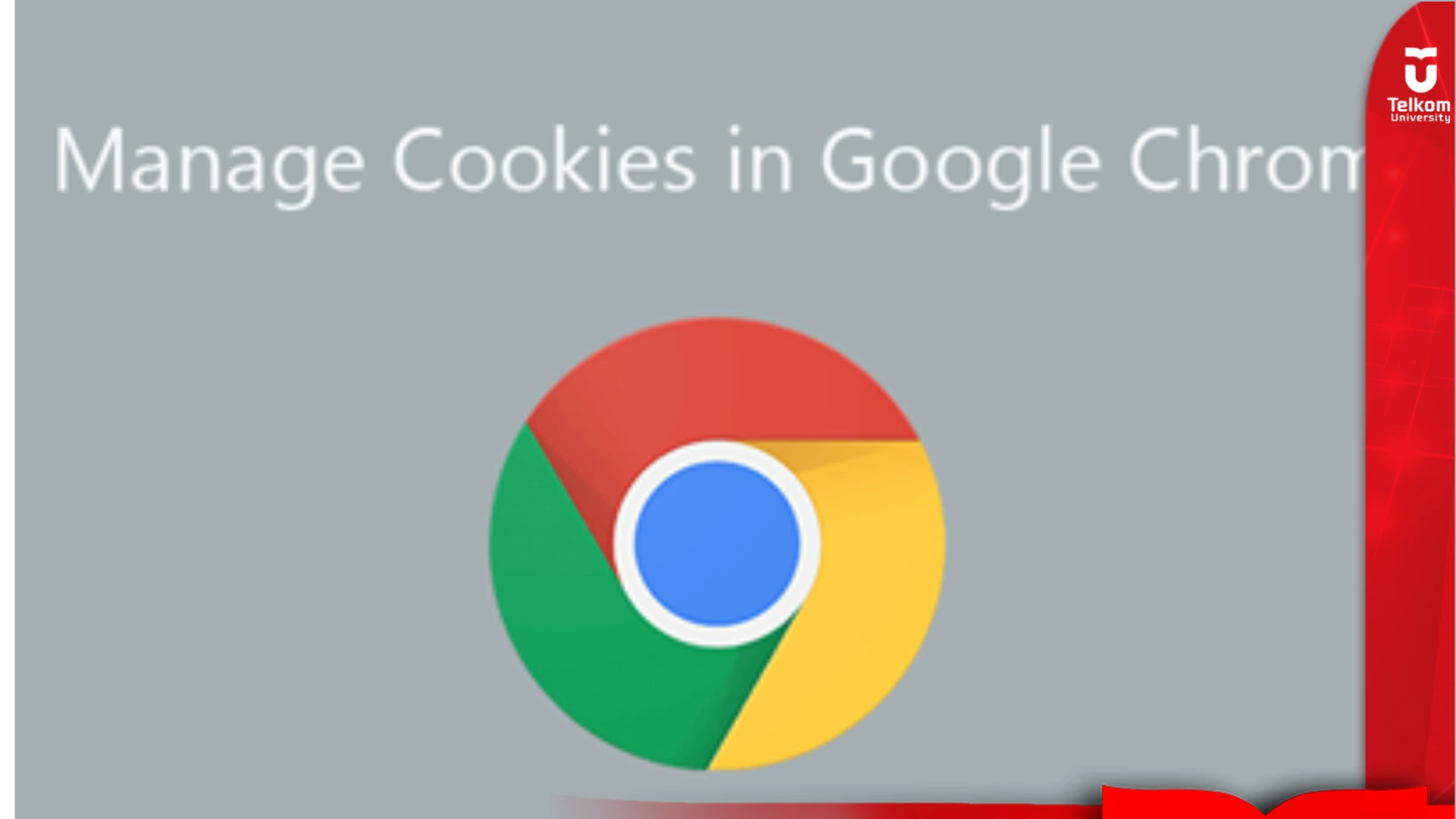 Panduan Mengaktifkan Cookies di Google Chrome